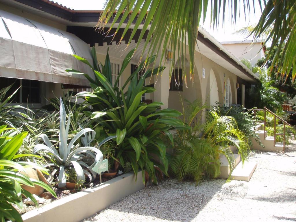 Bananas Apartments Adults Only Palm Beach Exterior foto